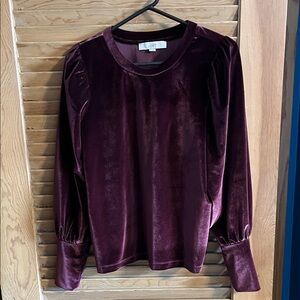 LOFT Women's Rich Purple Velvet Blouse